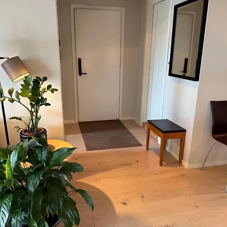 Nyrenovert Toppleilighet Midt I Sentrum, Naer Kollektivterminal *