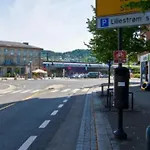Nyrenovert Toppleilighet Midt I Sentrum, Naer Kollektivterminal *